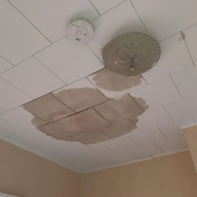 Ceiling Water Damage Repair in Newtown, OH