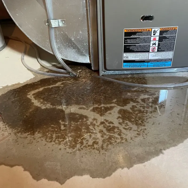 Pipe Burst and Leak Restoration in Newtown, OH